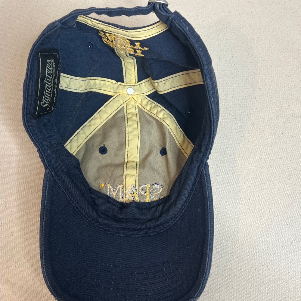 🛍️ 4 for $25 Vintage SPAM Embroidered Dad Hat – Crazy Tasty Cap - Picture 5 of 6